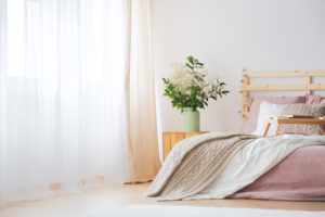 A beautiful guest bedroom with lots of natural light, blankets, and a plant.